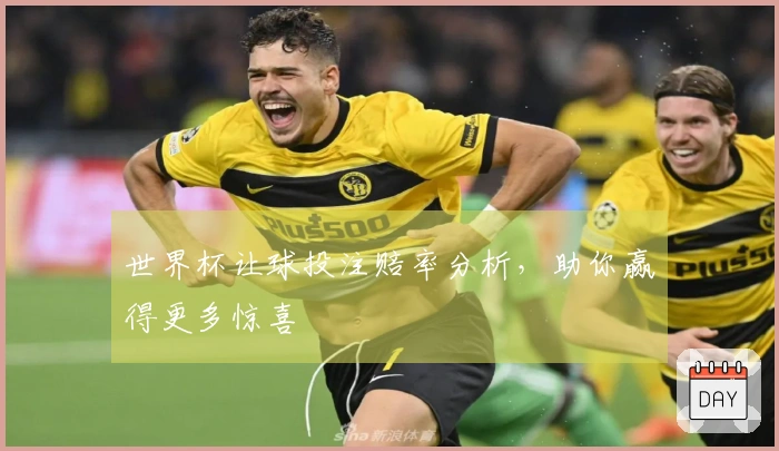 世界杯让球投注赔率分析，助你赢得更多惊喜