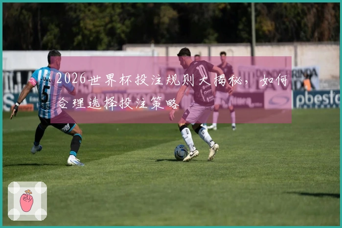 2026世界杯投注规则大揭秘，如何合理选择投注策略