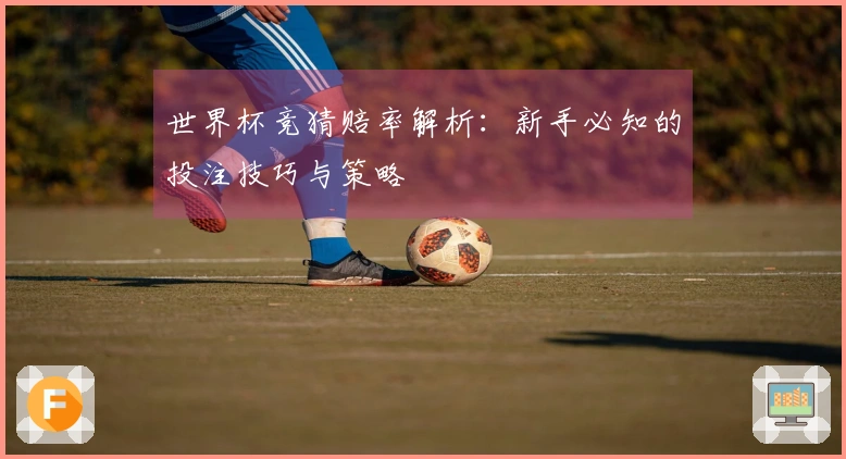 世界杯竞猜赔率解析：新手必知的投注技巧与策略