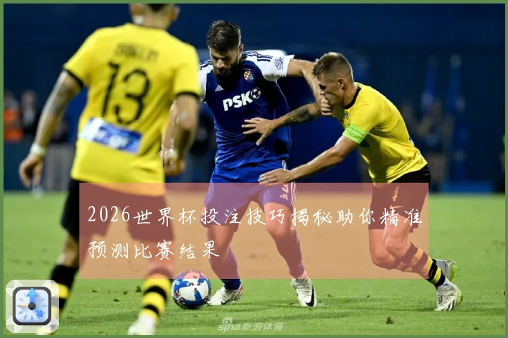 2026世界杯投注技巧揭秘助你精准预测比赛结果