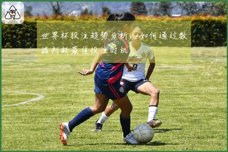 世界杯投注趋势分析：如何通过数据判断最佳投注时机