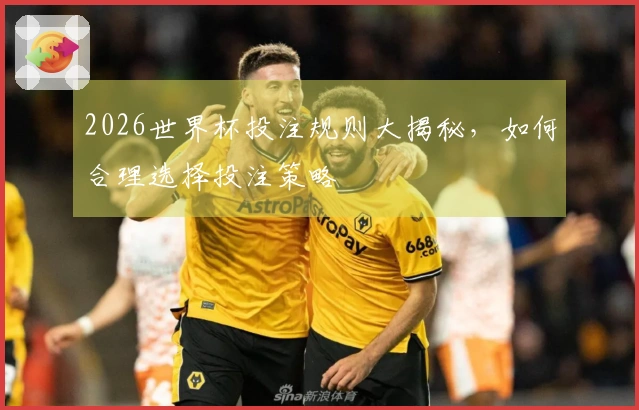 2026世界杯投注规则大揭秘，如何合理选择投注策略