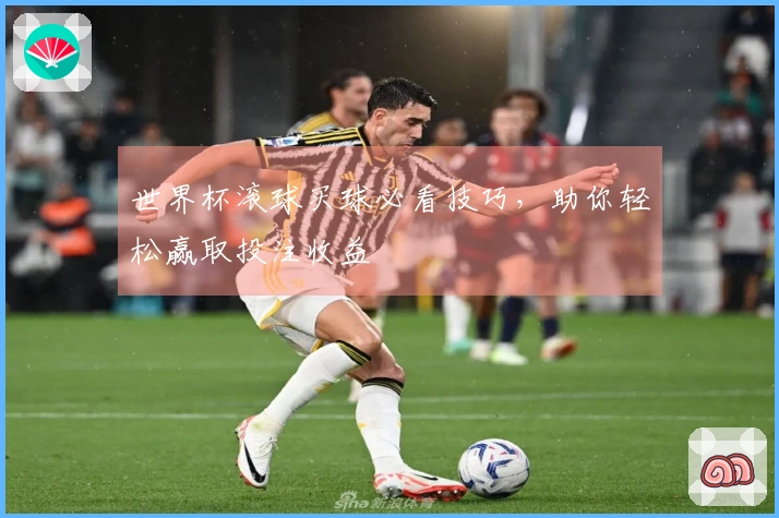 世界杯滚球买球必看技巧，助你轻松赢取投注收益