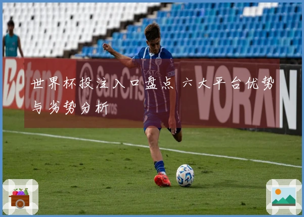 世界杯投注入口盘点 六大平台优势与劣势分析