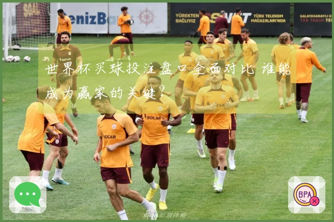世界杯买球投注盘口全面对比 谁能成为赢家的关键？