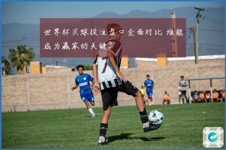 世界杯买球投注盘口全面对比 谁能成为赢家的关键？